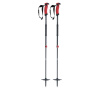 Razor Carbon Ski Poles