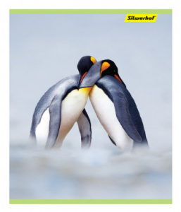 тетрадь silwerhof 812024-55 48л. клет. a5 природа 4диз. картон вод.лак скрепка