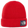 Salty Dog Beanie