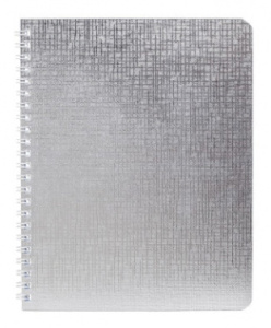 тетрадь бизнес 1057125 a5 бумвинил 96л клетка твердая обложка спираль серебристый