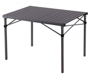 Compact Folding Table 3866