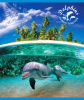 тетрадь то48к9548/6к 48л. клет. dolphins story скрепка