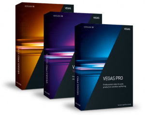 anr007742esd право на использование программного обеспечения sony vegas pro 15 edit - esd