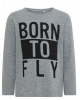 Born to fly