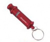 WHISTLE