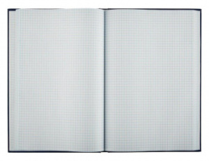 книга учета 26917 a4 144лист. бумвинил клетка