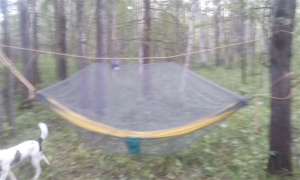 Удобная противомоскитная сетка на гамак