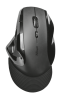 21722 Trust Wireless Mouse Vergo, USB, 800-2400dpi, Ergonomic, Black [21722]