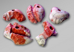 Зацепы полиэфирные для скалолазания 5 шт. #11_043