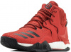 D Rose 7