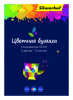 бумага цветная silwerhof 917166-14 тонир.неон 10л. 5цв. a4 цветландия 75г/м2 1диз. обл.мел.картон папка