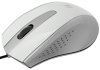 Мышка USB OPTICAL MM-920 WHITE/GREY 52922 DEFENDER