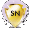 sn7.x-n-c[>250]-rn30-sp1y право на использование средства защиты информации secret net 7. клиент (сетевой режим работы). по-renewal. включена тп уровня базовый, срок 1 год *sn7