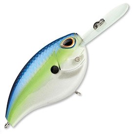 Arashi Rattling Flat AFT07