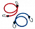 Bungees Corda Elastica
