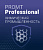 4606892013263 00001 promt professional 19 многоязычный, химическая промышленность