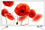tf-led24s52t2(белый) телевизор led telefunken 23.6" tf-led24s52t2 белый/hd ready/50hz/dvb-t/dvb-t2/dvb-c/usb (rus)