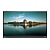 60E9MAT1EU Lenovo ThinkVision Monitor T2364t 23" 16:9 IPS, LED Anti-GlaTe 10-point touch 1920x1080 7ms 1000:1 250 178/178 VGA/N/HDMI1.4/DP1.2/Frame, Tilt, USB 3