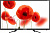 tf-led32s73t2(черный) телевизор led telefunken 31.5" tf-led32s73t2 черный/hd ready/50hz/dvb-t/dvb-t2/dvb-c/usb (rus)