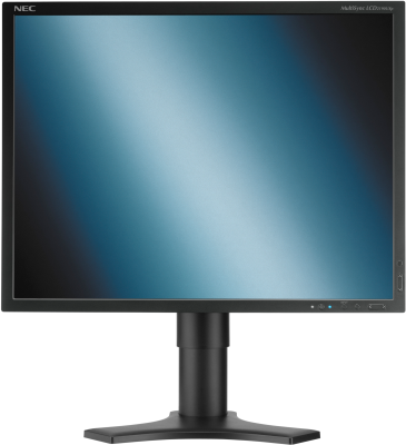 nec multisync lcd2190uxp