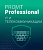 4606892013263 00009 promt professional 19 многоязычный, it и телекоммуникации