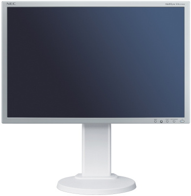 nec multisync e222w